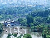 188足球比分捷报比分-188足球比分捷报,绿茵场上的实时脉搏与激情传递