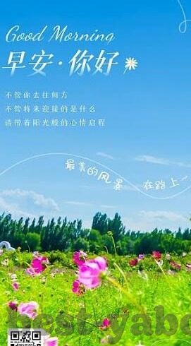 世界杯今天塞程-世界杯今日赛程,激情与梦想的碰撞