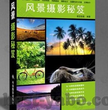 伊朗中国足球比分-伊朗VS中国足球赛，比分背后的战术博弈与未来展望